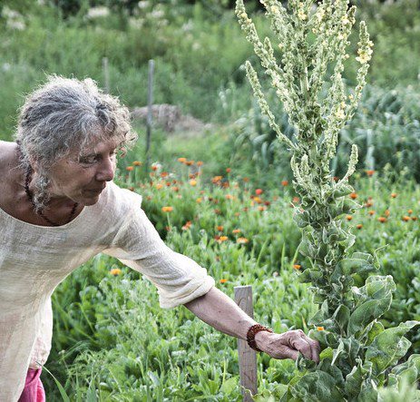 Ten-Fold Path to Becoming a Community Herbalist